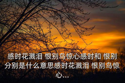 感時(shí)花濺淚 恨別鳥驚心感時(shí)和 恨別分別是什么意思感時(shí)花濺淚 恨別鳥驚心...