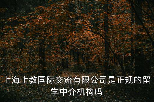 上海國際學校中介，上海上教國際交流有限公司是正規的留學中介機構嗎