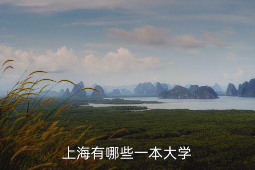 上海有哪些一本大學