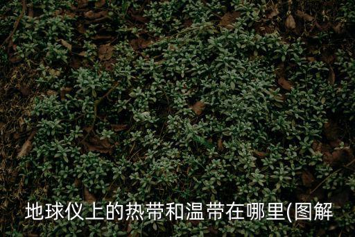 地球儀圖片平面圖,精致地球儀制作過程如何?