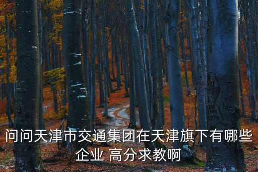 問問天津市交通集團在天津旗下有哪些企業 高分求教啊