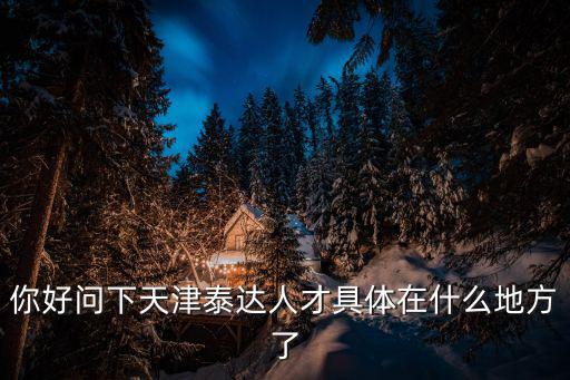 你好問下天津泰達(dá)人才具體在什么地方了