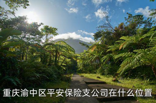 重慶市渝中區(qū)兩路口桂花園新都巷七號(hào)，有知道重慶 市乒乓球隊(duì)地址在哪
