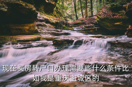 現(xiàn)在買房轉(zhuǎn)戶口辦理需要些什么條件比如我是重慶主城區(qū)的