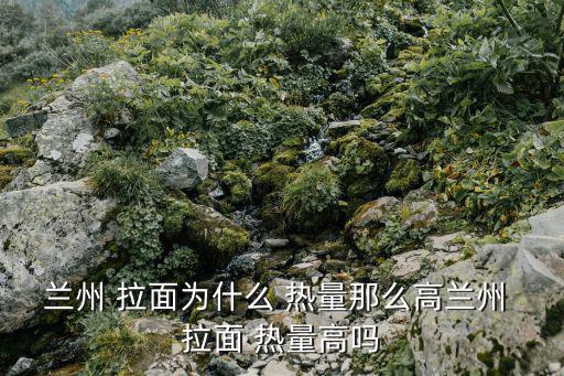 拉面熱量,一碗牛肉拉面熱量打卡在800卡路里