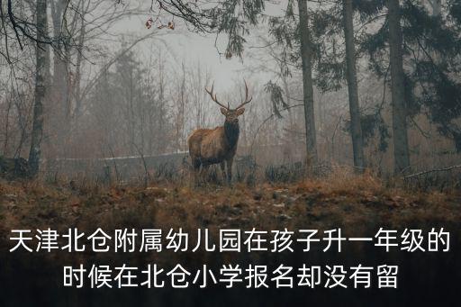 天津北倉附屬幼兒園在孩子升一年級的時候在北倉小學報名卻沒有留