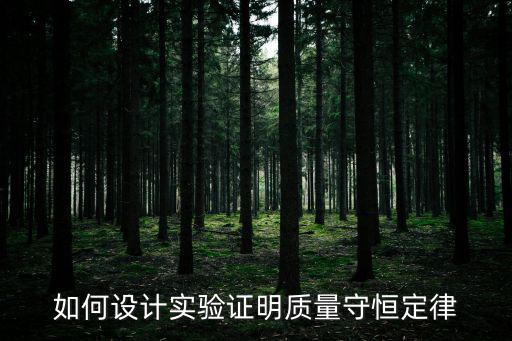 質(zhì)量守恒定律教學(xué)設(shè)計(jì)，質(zhì)量守恒定律的教學(xué)目標(biāo)是什么