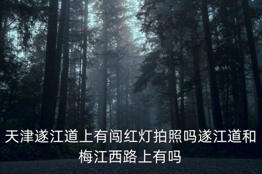 天津市梅江這塊闖紅燈沒事嗎，天津梅江永旺夢樂城在限行區域里嗎
