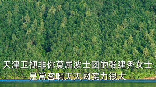 天津衛(wèi)視非你莫屬波士團(tuán)的張建秀女士是常客啊天天網(wǎng)實(shí)力很大