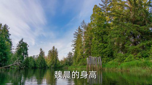 魏晨的身高