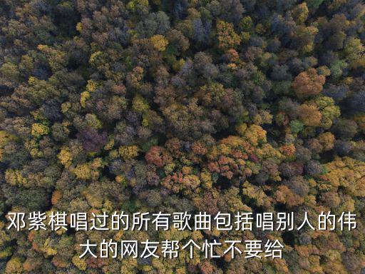 鄧紫棋歌曲大全，鄧紫棋唱過的所有歌曲包括唱別人的偉大的網友幫個忙不要給