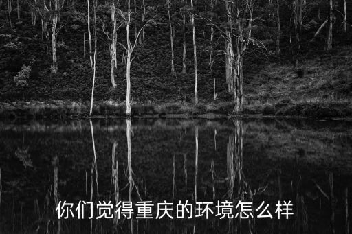 你們覺(jué)得重慶的環(huán)境怎么樣