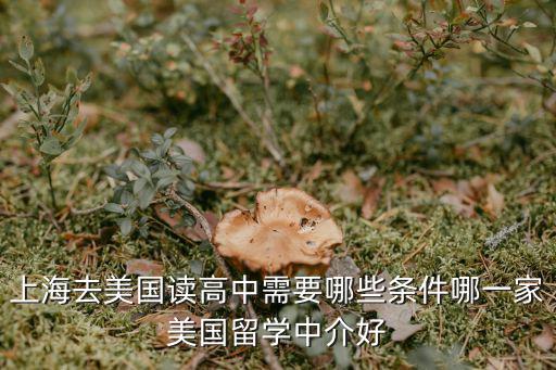 上海去美國讀高中需要哪些條件哪一家美國留學中介好