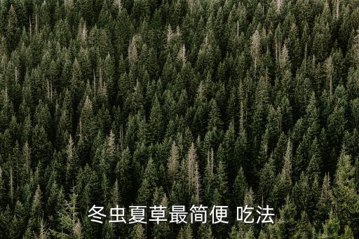 冬蟲夏草的最佳吃法,冬蟲夏草可吃法-肉蓯蓉燉牛骨湯