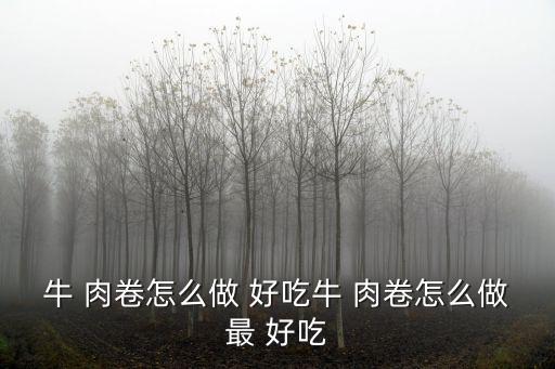 牛 肉卷怎么做 好吃牛 肉卷怎么做最 好吃