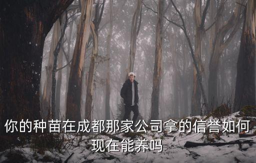 你的種苗在成都那家公司拿的信譽(yù)如何現(xiàn)在能養(yǎng)嗎