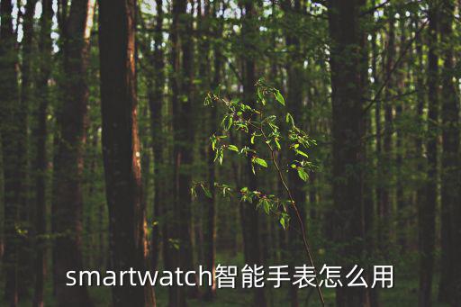 智能手表怎么使用，smartwatch智能手表怎么用