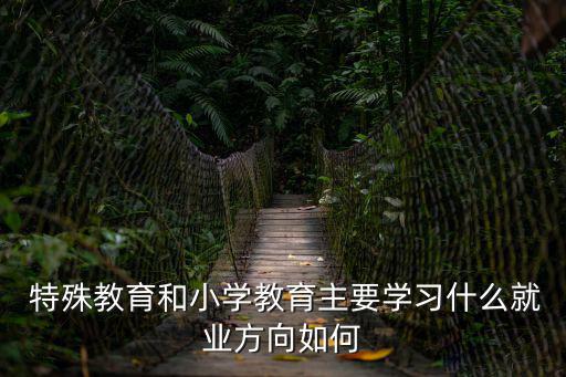 特殊教育概論,基礎(chǔ)課:特殊教育與發(fā)展心理學(xué)等課程與教材