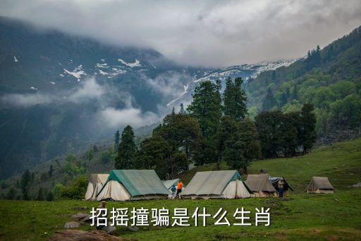 招搖撞騙是什么生肖