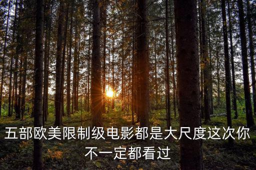五部歐美限制級(jí)電影都是大尺度這次你不一定都看過(guò)