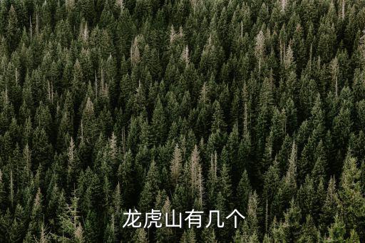 鷹潭龍虎山,中國有三個老虎山分別是龍虎山和云錦山。