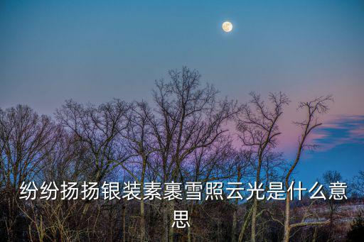  紛紛揚(yáng)揚(yáng)銀裝素裹雪照云光是什么意思