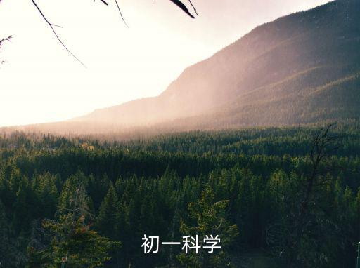 初一科學,初一指中學一年級進入中學階段課程與小學不同