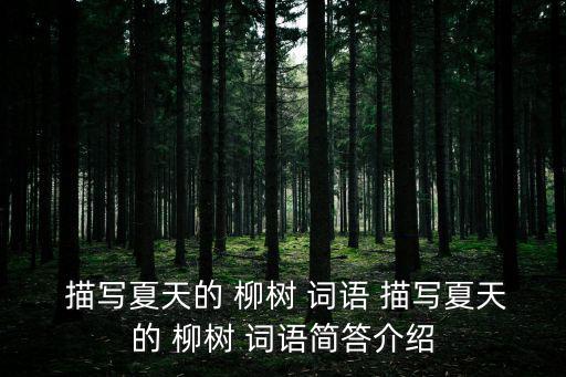 描寫柳樹的詞語(yǔ),第二集:春暖花開的日子