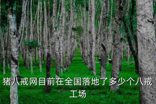 天津市豬八戒網(wǎng)店在哪個(gè)地方，豬八戒網(wǎng)目前在全國(guó)落地了多少個(gè)八戒工場(chǎng)