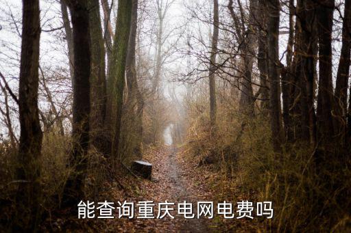 能查詢重慶電網(wǎng)電費嗎