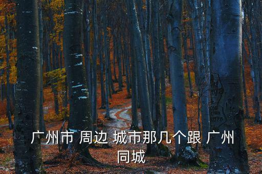 廣州周邊城市,廣佛同城化的四個(gè)重要組成部分