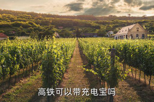 高鐵上有充電寶嗎，乘坐高鐵可以帶充電寶嗎