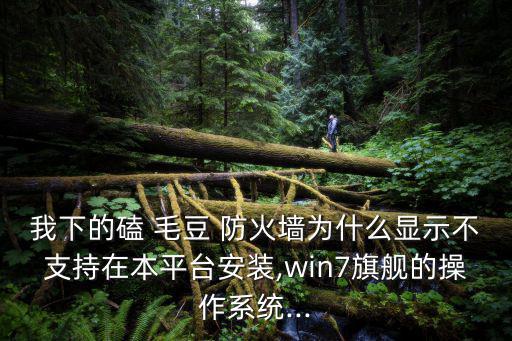 我下的磕 毛豆 防火墻為什么顯示不支持在本平臺(tái)安裝,win7旗艦的操作系統(tǒng)...