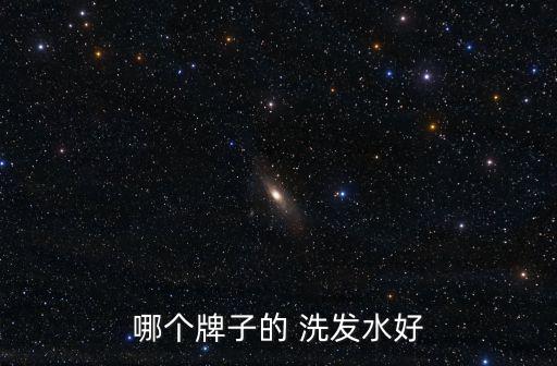 哪個牌子的 洗發水好