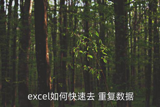  excel如何快速去 重復(fù)數(shù)據(jù)