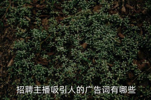  招聘主播吸引人的廣告詞有哪些
