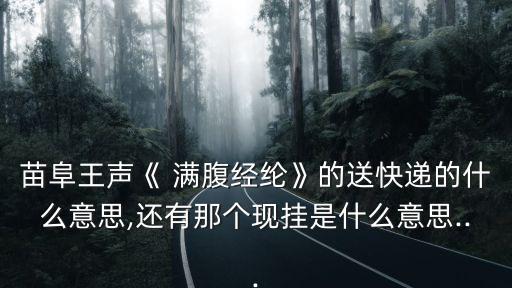 相聲滿腹經綸,王聲的相聲滿腹經綸