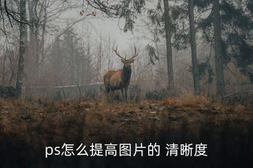 怎么提高圖片清晰度,如何調(diào)整圖像的對比度?方便你使用!
