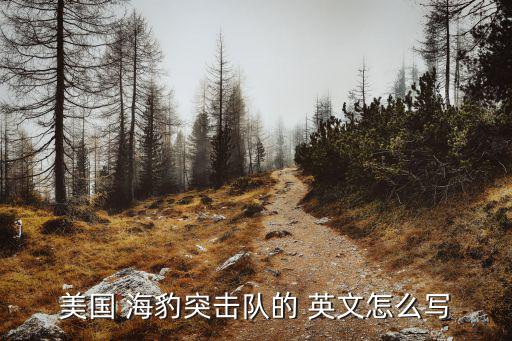 美國 海豹突擊隊的 英文怎么寫