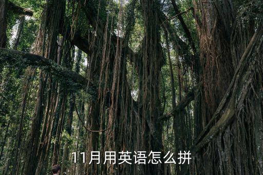 11月用英語怎么拼