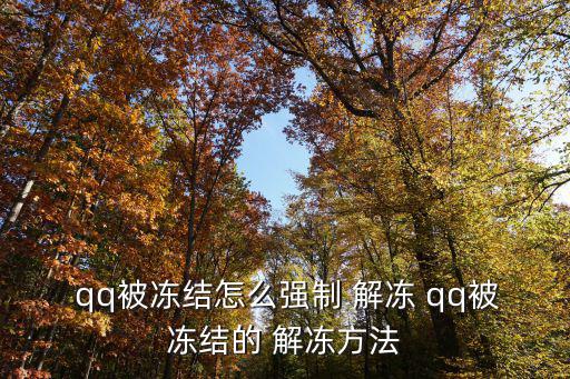  qq被凍結(jié)怎么強制 解凍 qq被凍結(jié)的 解凍方法