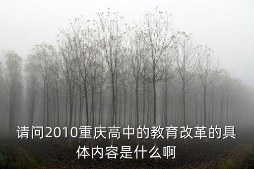 請(qǐng)問(wèn)2010重慶高中的教育改革的具體內(nèi)容是什么啊