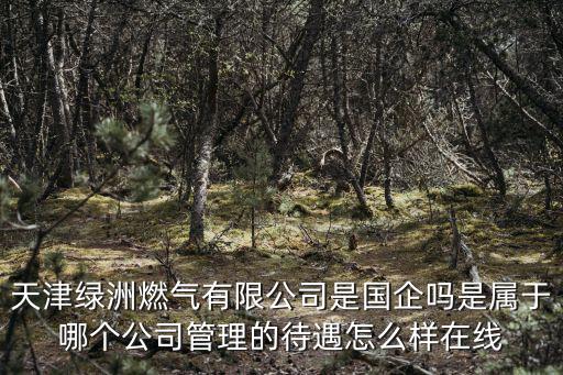 天津綠洲燃氣有限公司是國企嗎是屬于哪個公司管理的待遇怎么樣在線