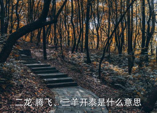 騰飛的意思,二龍騰飛不是習語!