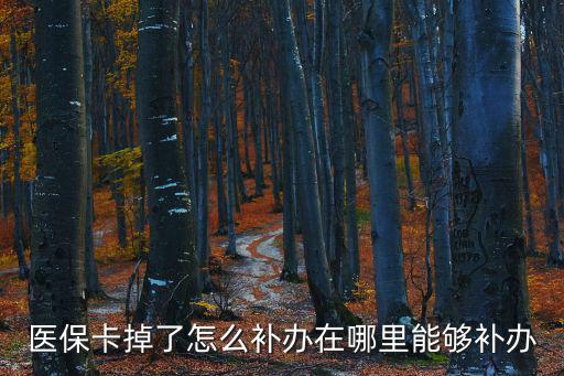醫保卡掉了怎么補辦在哪里能夠補辦
