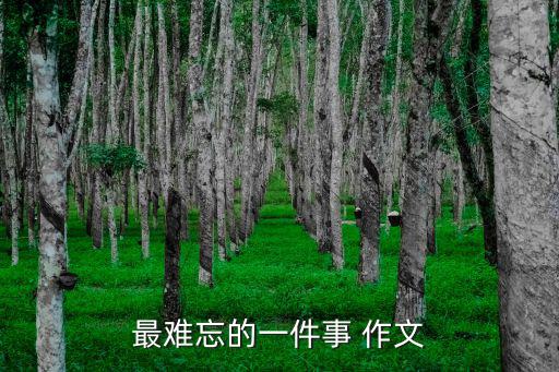 最難忘的一件事 作文