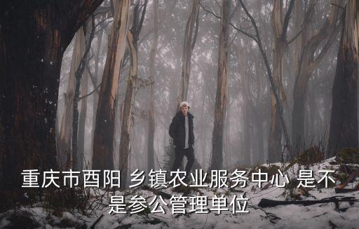 重慶市酉陽 鄉(xiāng)鎮(zhèn)農(nóng)業(yè)服務(wù)中心 是不是參公管理單位