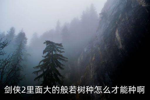 如何種樹，怎么種植樹木