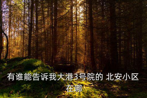 有誰能告訴我大港3號院的 北安小區 在哪
