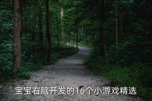 寶寶右腦開發的16個小游戲精選